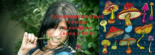 прущие крисы Алексин